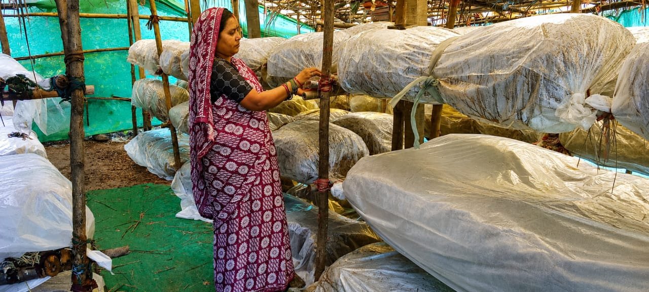 रायपुर : मुख्यमंत्री श्री विष्णुदेव साय के नेतृत्व में ग्रामीण महिलाओं की आत्मनिर्भरता को मिल रही नई उड़ान